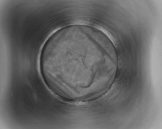 X0000100921139200807221110