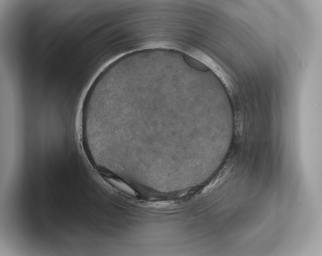 X0000100921140200807221110