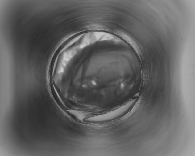 X0000100921141200807221110