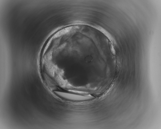 X0000100921142200807221110
