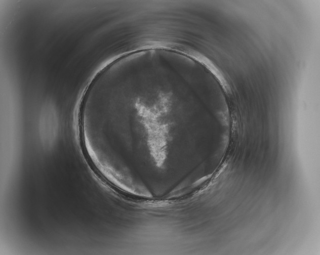 X0000100921143200807221110