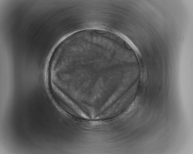 X0000100921144200807221110