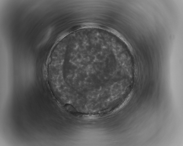 X0000100921145200807221110