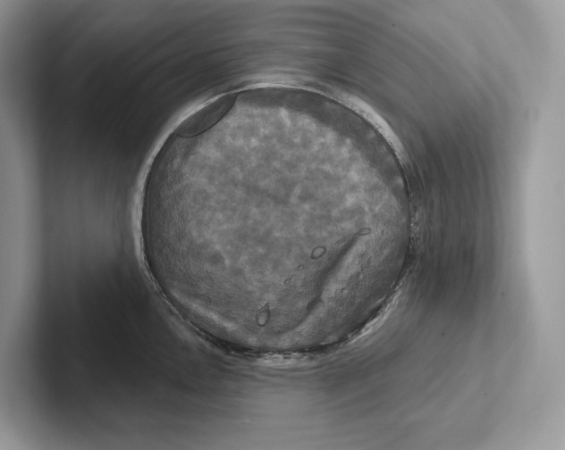 X0000100921146200807221110