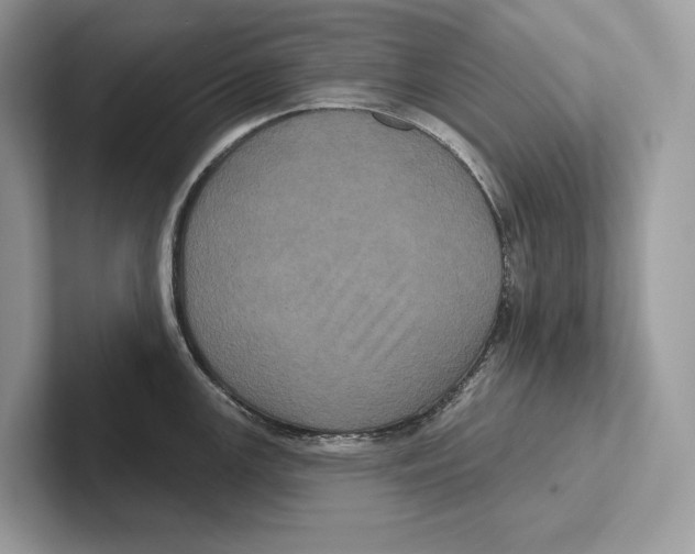 X0000100921147200807221110