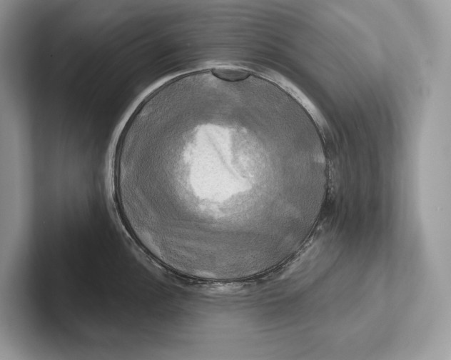 X0000100921148200807221110