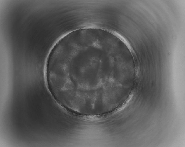 X0000100921149200807221110