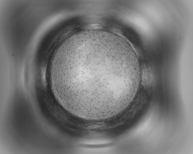X0000100921150200807221110