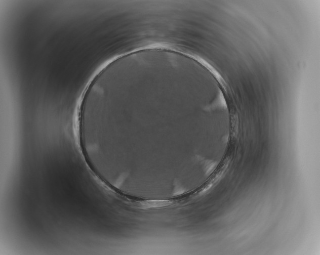 X0000100921151200807221110