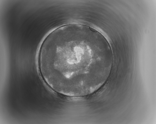 X0000100921152200807221110