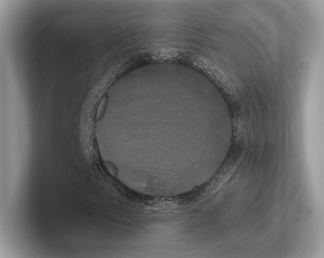 X0000100921153200807221110