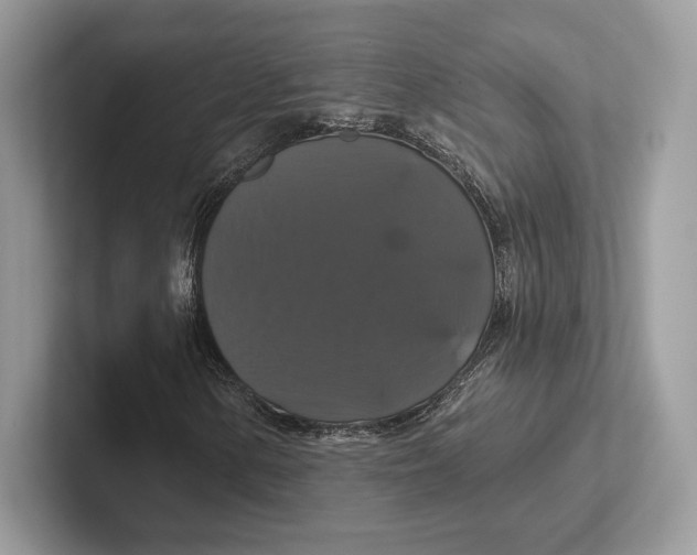 X0000100921154200807221110