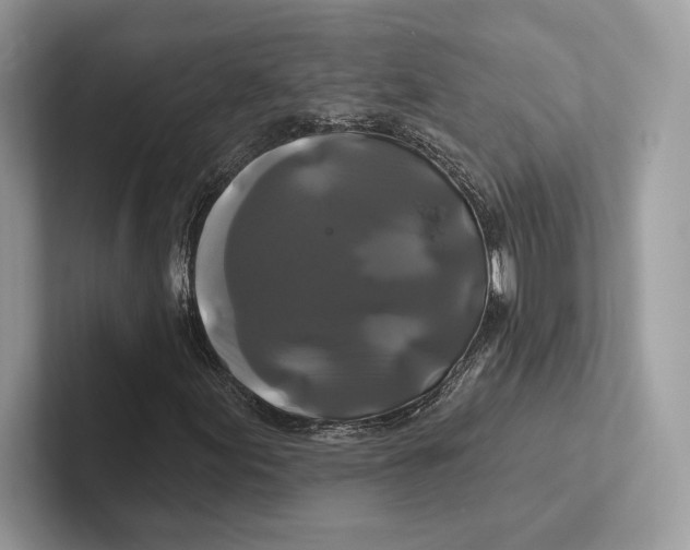 X0000100921155200807221110