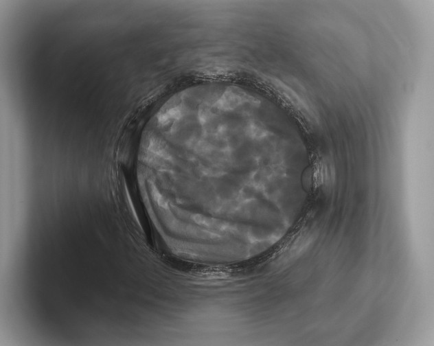 X0000100921156200807221110
