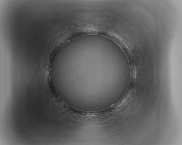 X0000100921157200807221110