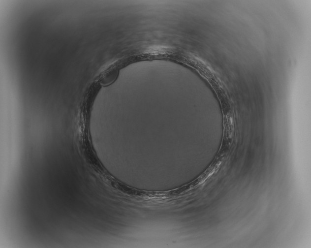 X0000100921158200807221110