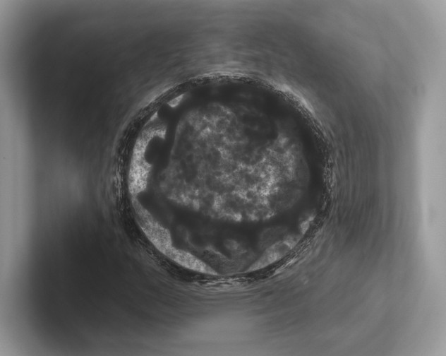 X0000100921159200807221110