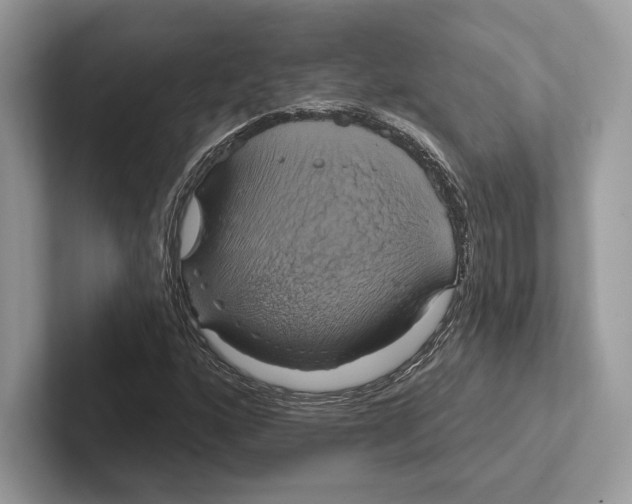 X0000100921160200807221110