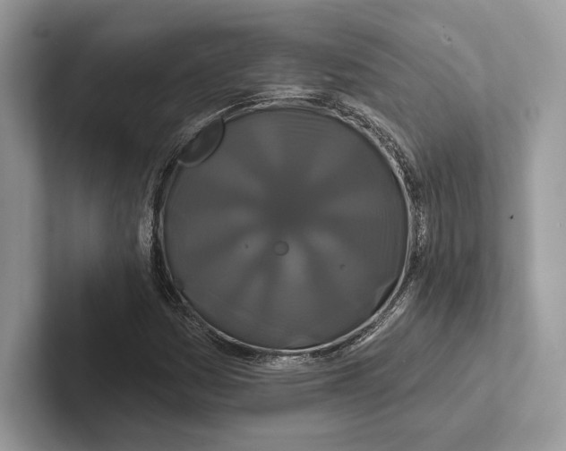 X0000100921161200807221110