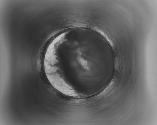 X0000100921163200807221110