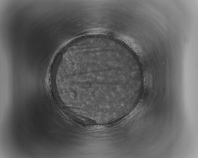 X0000100921164200807221110