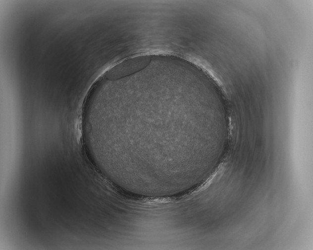 X0000100921165200807221109