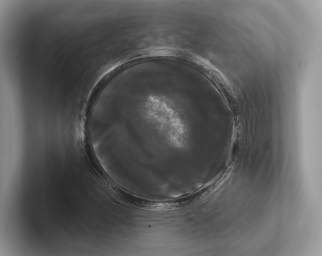 X0000100921166200807221109
