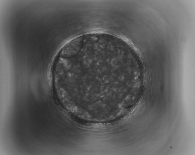 X0000100921167200807221109