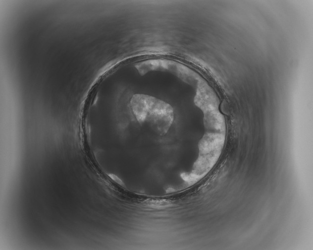 X0000100921168200807221109