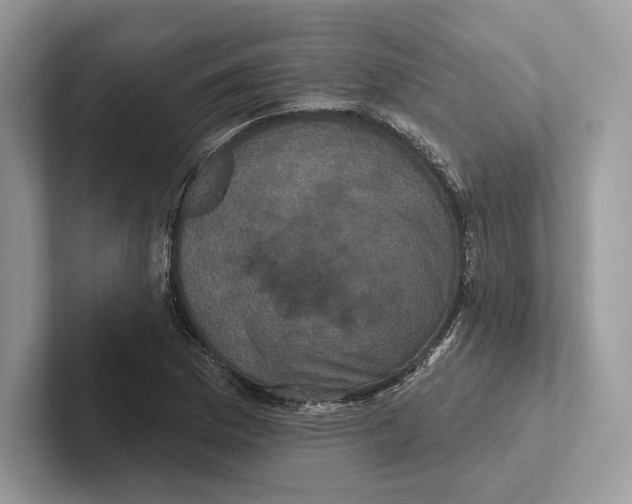 X0000100921169200807221109