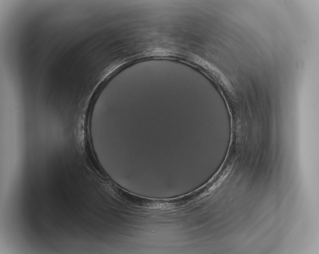 X0000100921170200807221109
