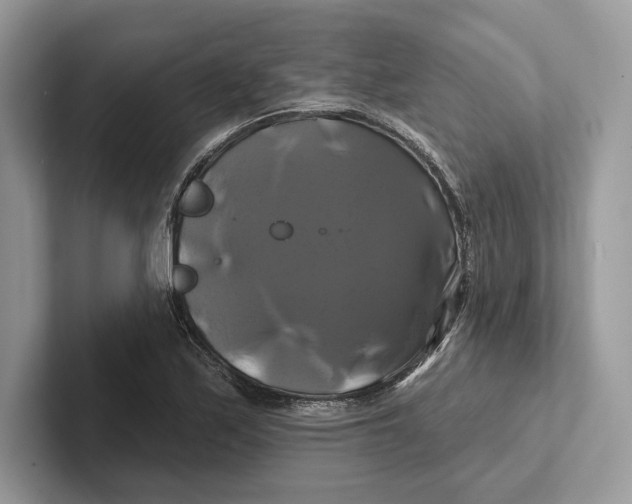 X0000100921171200807221109