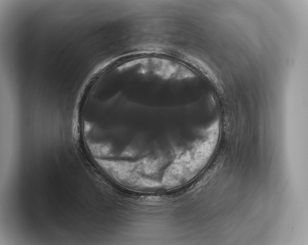 X0000100921172200807221109