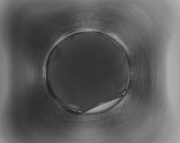 X0000100921173200807221109