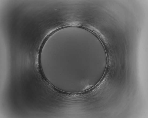 X0000100921174200807221109