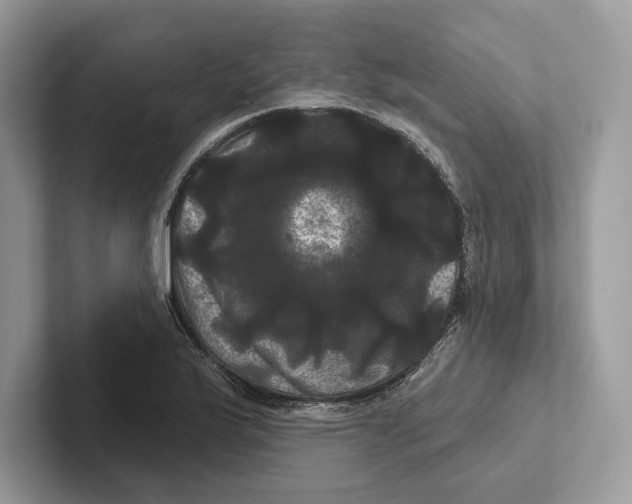 X0000100921175200807221109