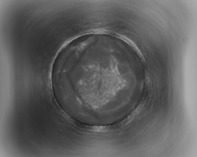 X0000100921176200807221109