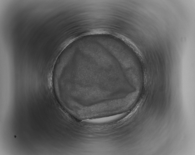 X0000100921177200807221109