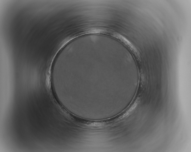 X0000100921178200807221109