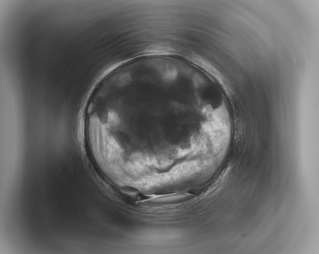 X0000100921179200807221109