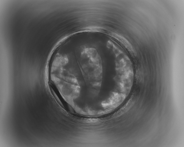 X0000100921180200807221109