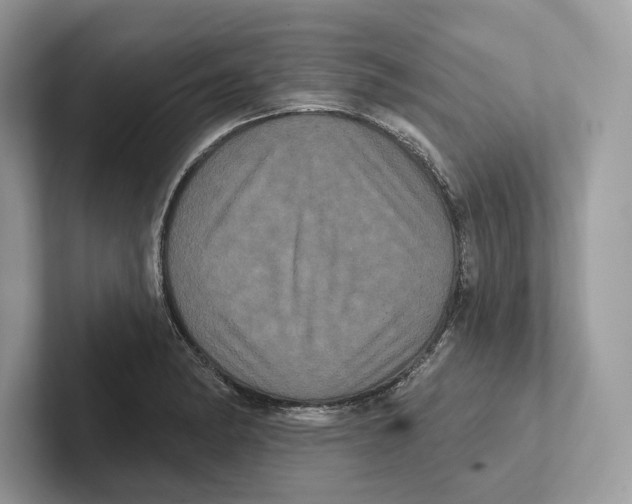 X0000100921182200807221109
