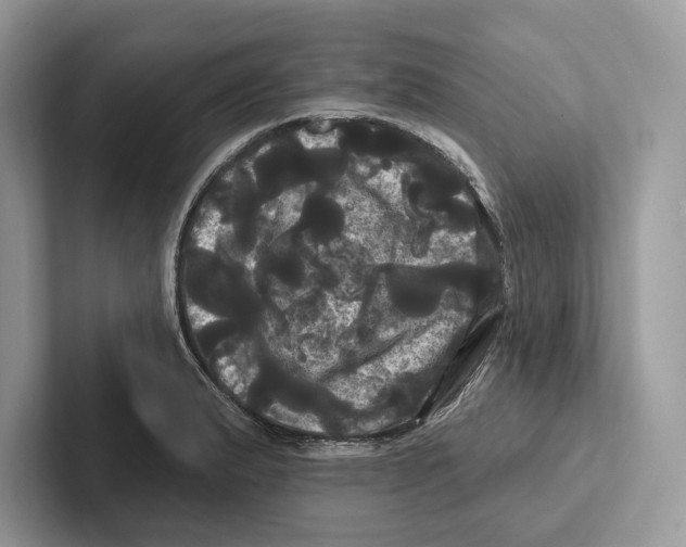 X0000100921183200807221109