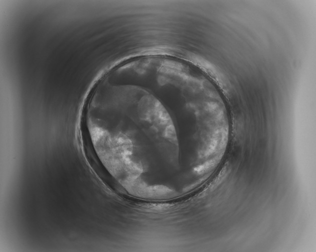 X0000100921184200807221109