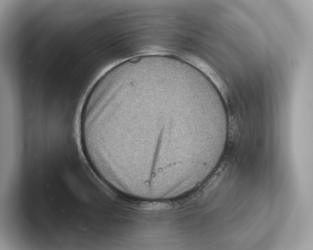 X0000100921187200807221109