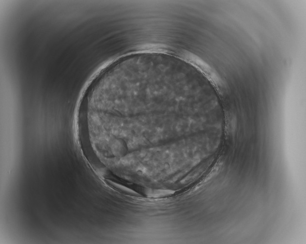 X0000100921188200807221109