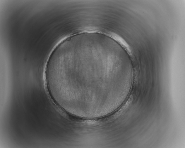 X0000100921190200807221109
