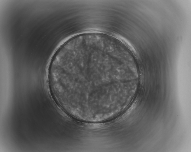 X0000100921192200807221109