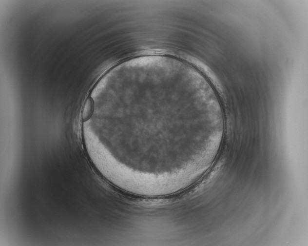 X0000100921193200807221109