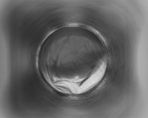 X0000100921194200807221109
